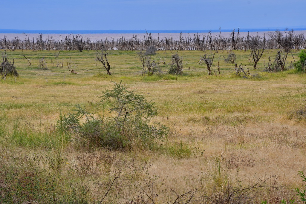 Lake Manyara NP